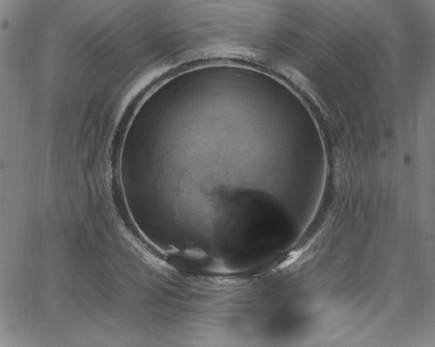 X0000065981024200603061209