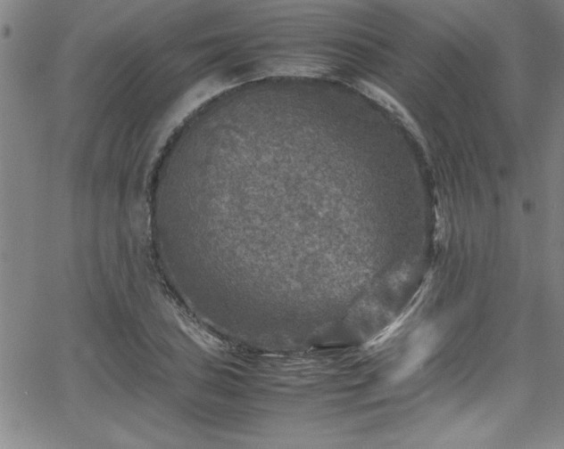 X0000065981027200603061209