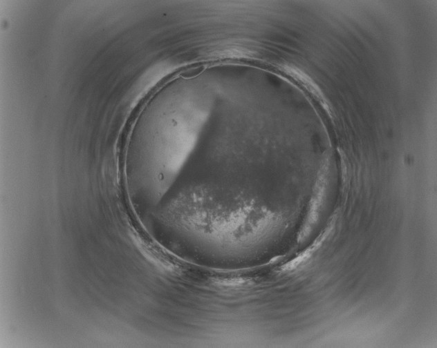 X0000065981031200603061209