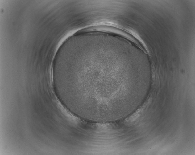 X0000065981032200603061209