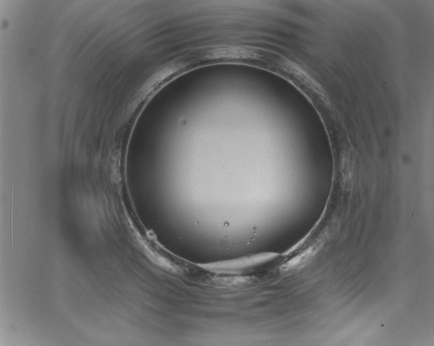 X0000065981033200603061209