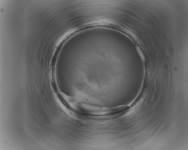 X0000065981034200603061209