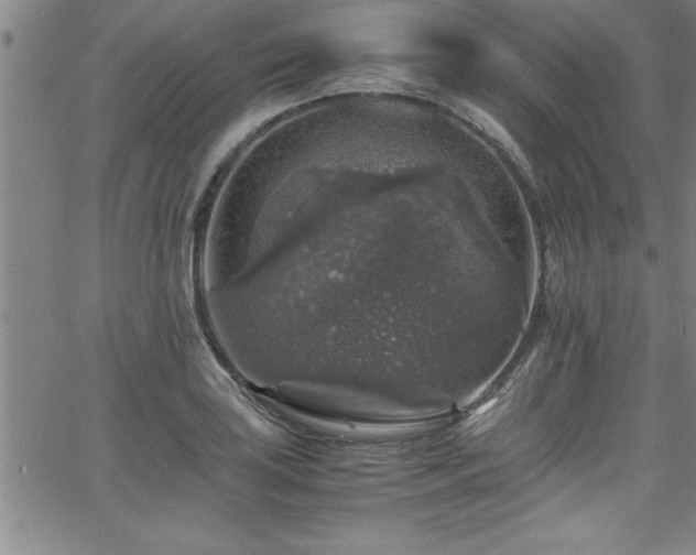 X0000065981035200603061209