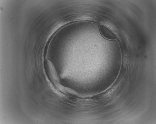 X0000065981039200603061209