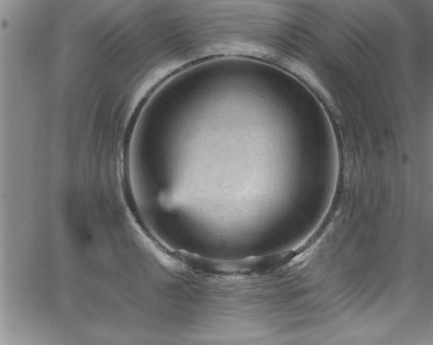 X0000065981040200603061209