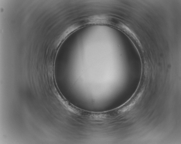 X0000065981041200603061209