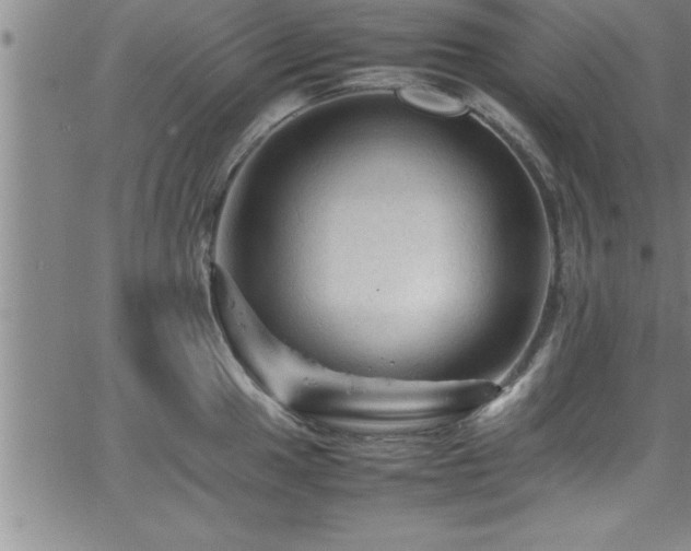 X0000065981049200603061209