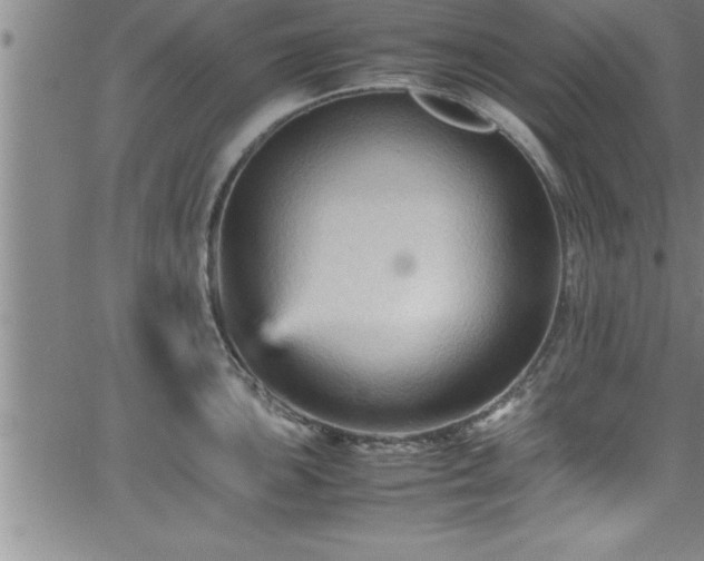 X0000065981051200603061209