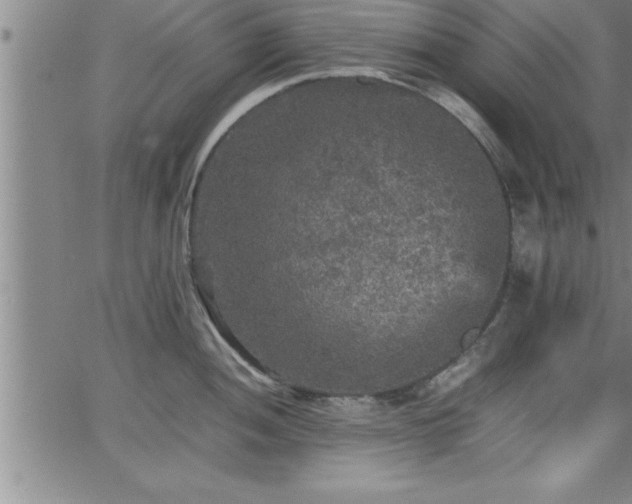 X0000065981052200603061209