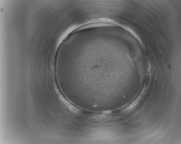 X0000065981054200603061209