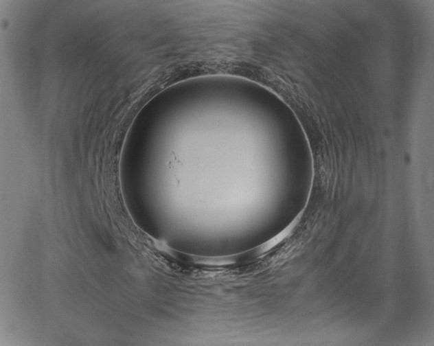 X0000065981057200603061209