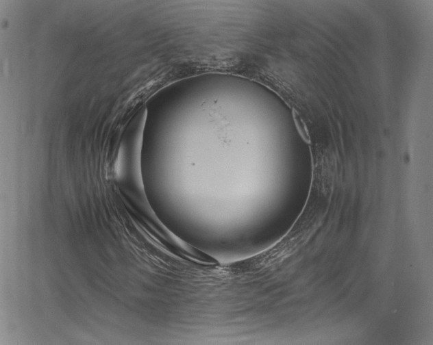 X0000065981058200603061209