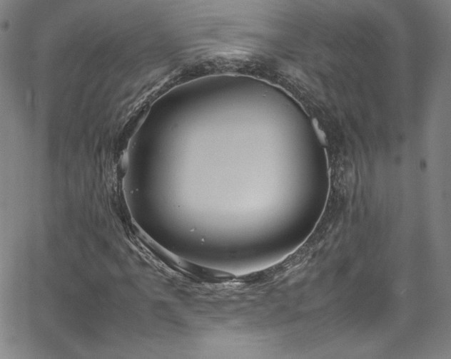 X0000065981061200603061209