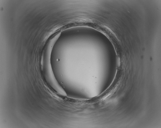 X0000065981065200603061209