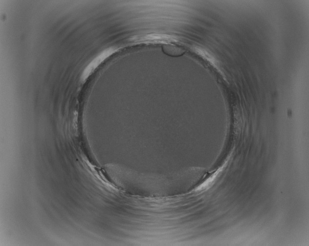 X0000065981066200603061209