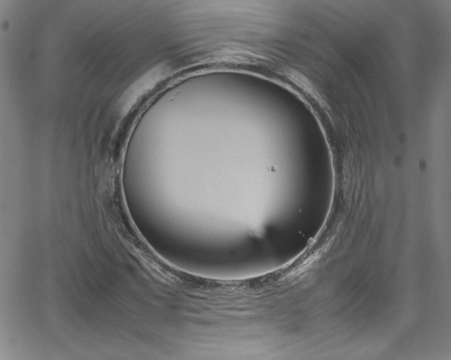 X0000065981067200603061209