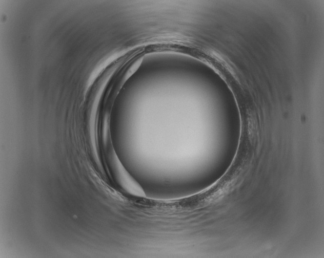 X0000065981069200603061209