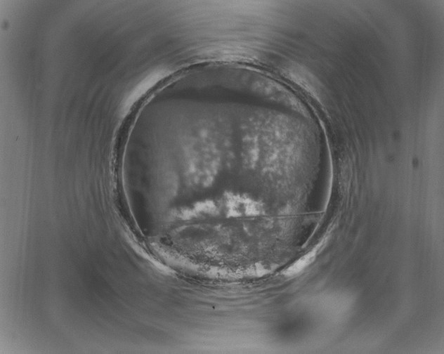 X0000065981071200603061208