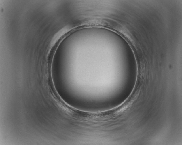 X0000065981075200603061208