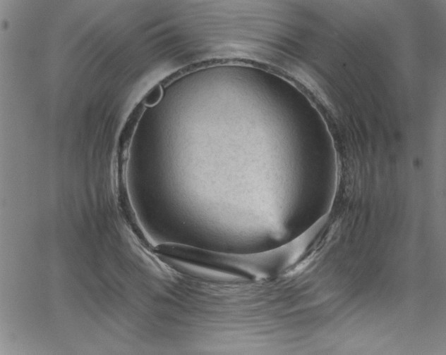 X0000065981076200603061208