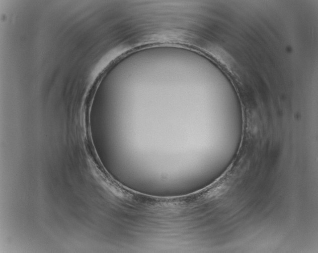 X0000065981078200603061208