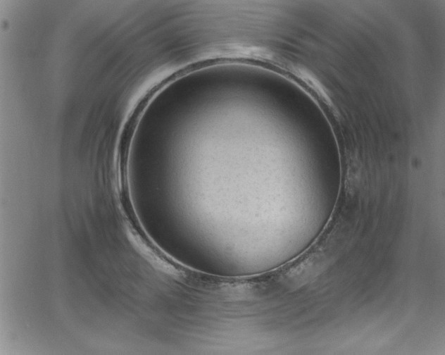 X0000065981080200603061208