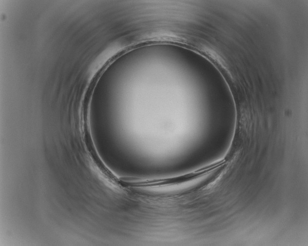 X0000065981082200603061208