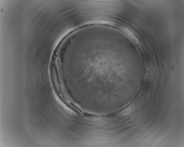 X0000065981084200603061208