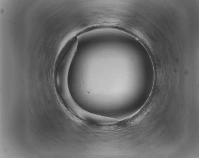 X0000065981085200603061208