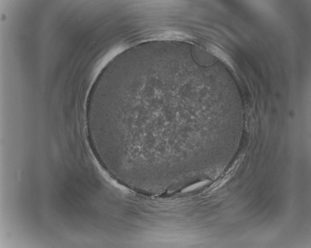 X0000065981087200603061208