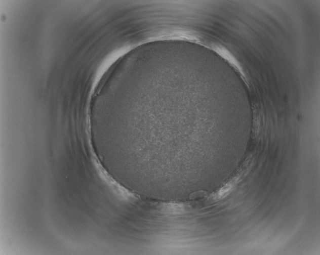 X0000065981088200603061208