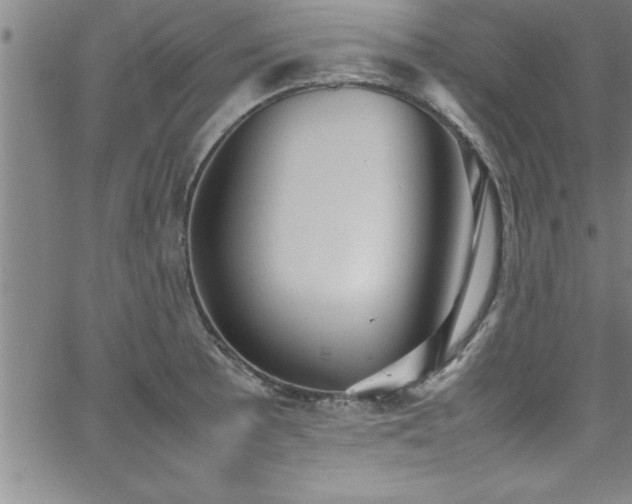 X0000065981089200603061208