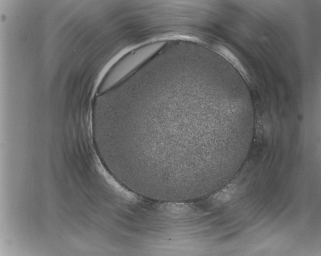 X0000065981092200603061208