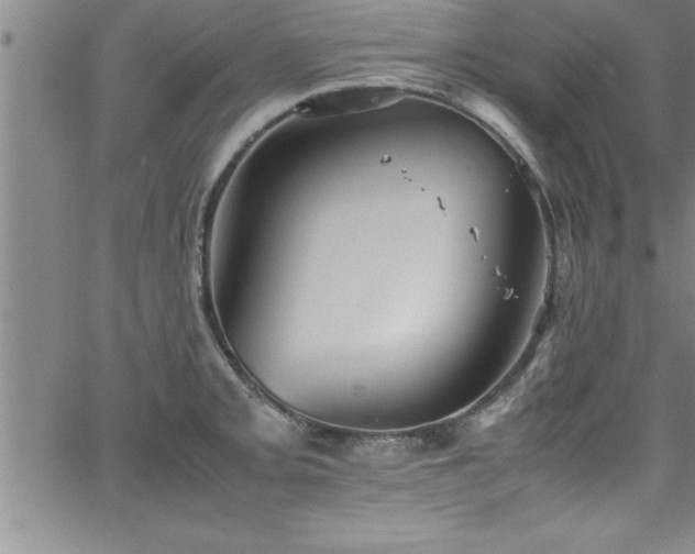 X0000065981093200603061208