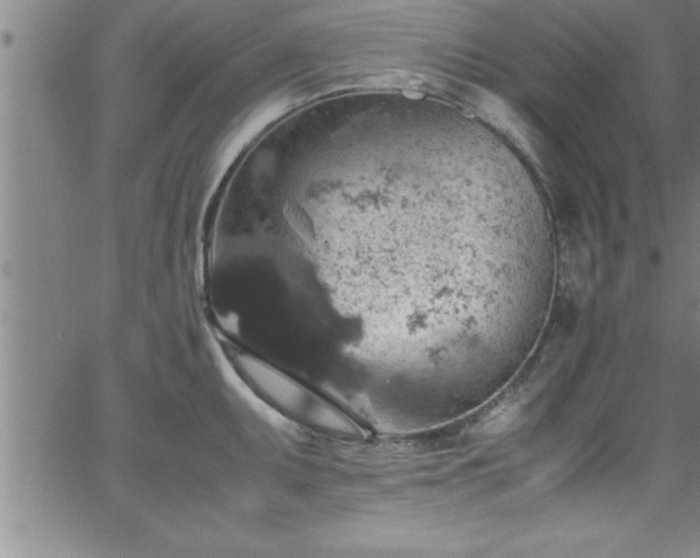 X0000065981095200603061208