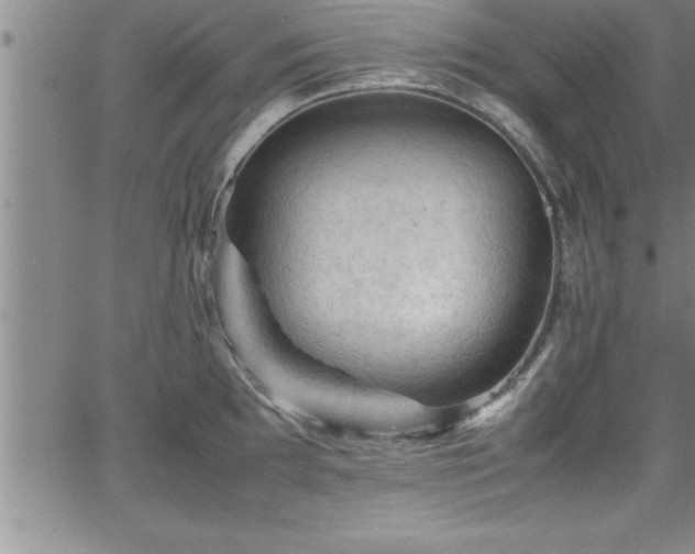 X0000065981097200603061208