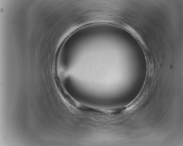 X0000065981101200603061208