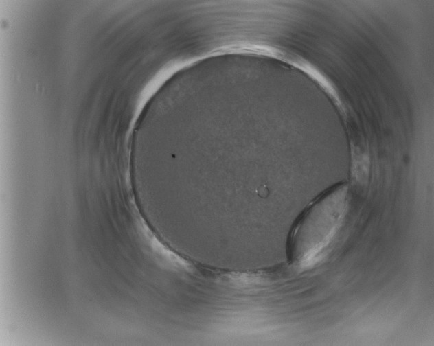 X0000065981102200603061208