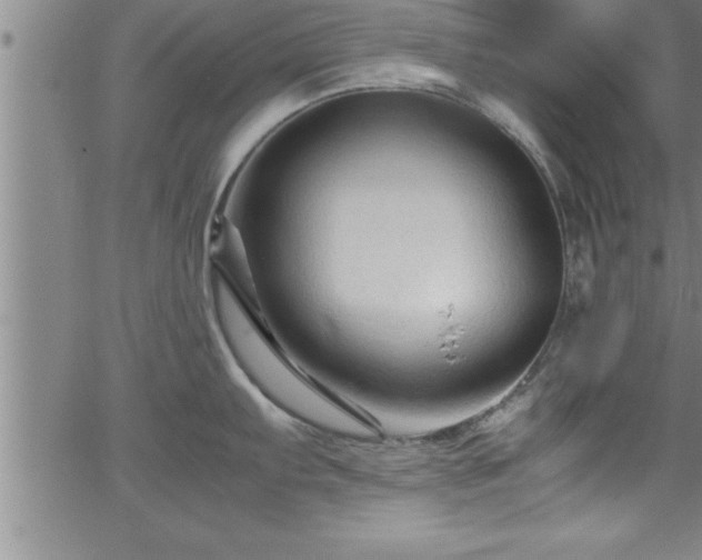 X0000065981103200603061208