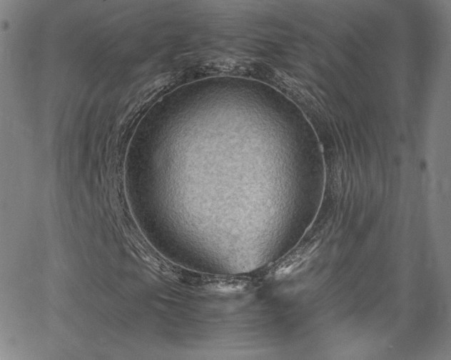 X0000065981105200603061207