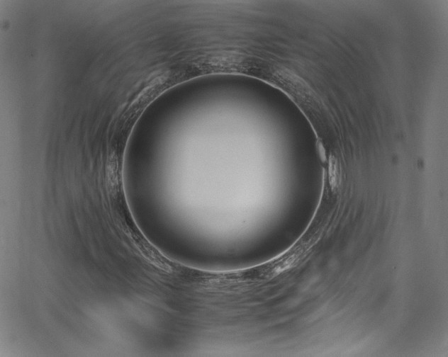 X0000065981107200603061207