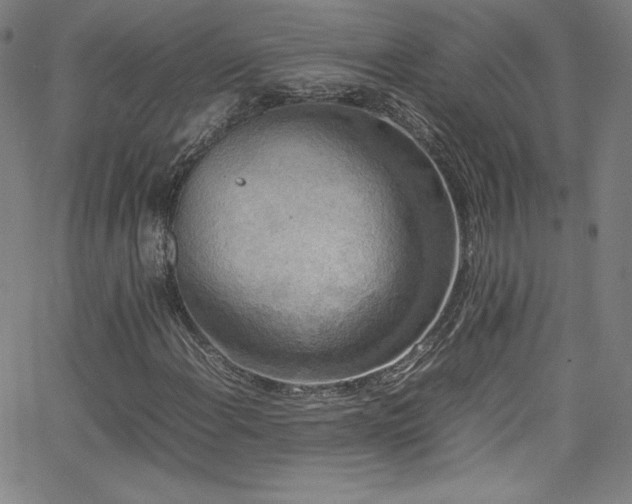 X0000065981108200603061207