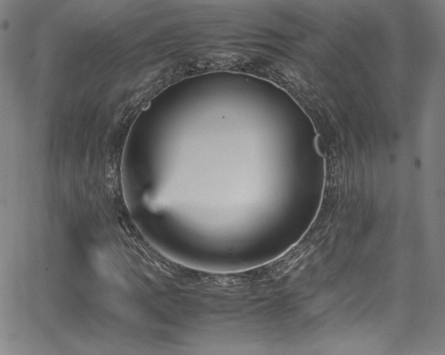 X0000065981109200603061207