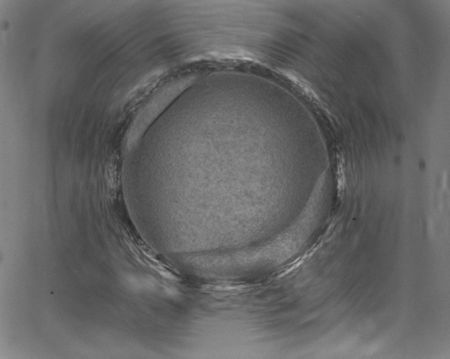 X0000065981110200603061207