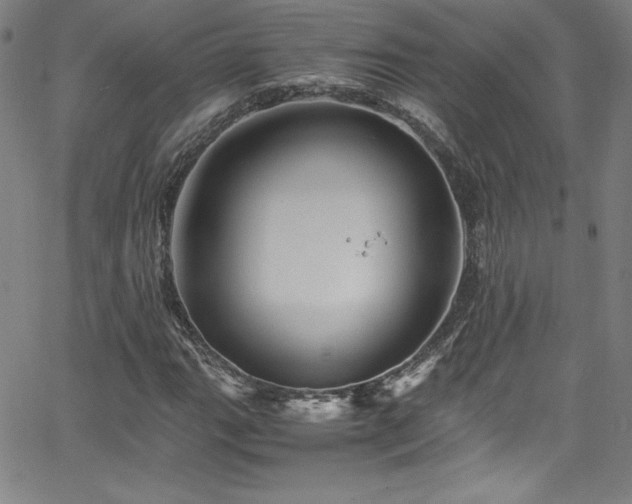 X0000065981111200603061207