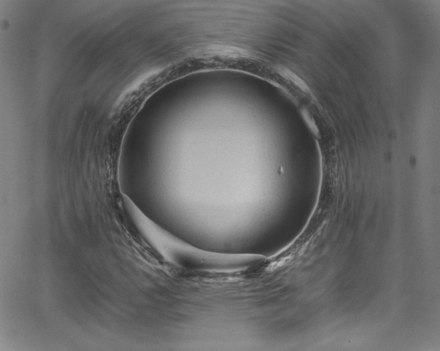 X0000065981112200603061207