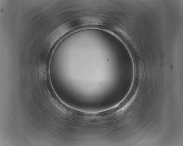 X0000065981113200603061207