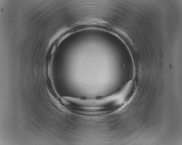 X0000065981114200603061207