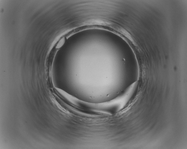 X0000065981116200603061207