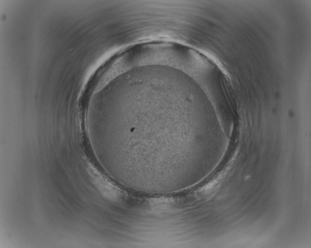 X0000065981118200603061207